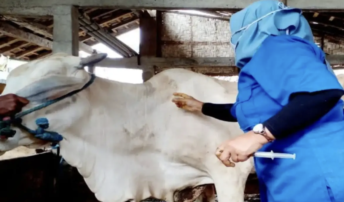 Kementan Terjunkan Tim Investigasi Kasus Gejala Antraks Gunungkidul